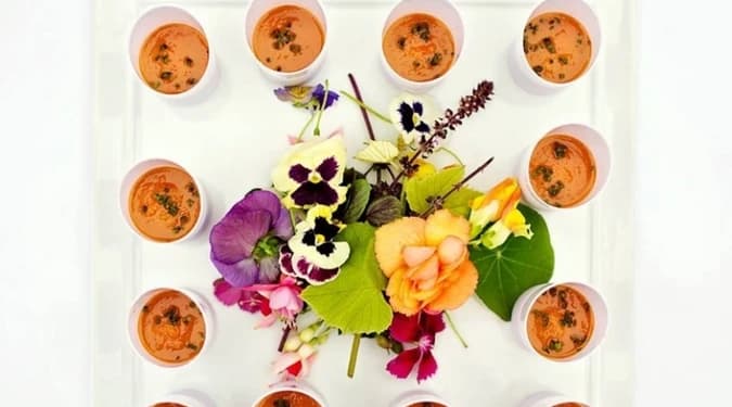 Gazpacho Shooters with Edible Flowers