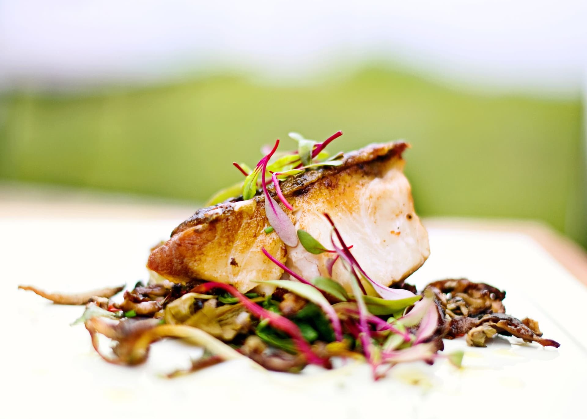 Pan-Seared Bass with Wild Mushrooms