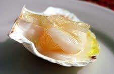 Scallop Crudo